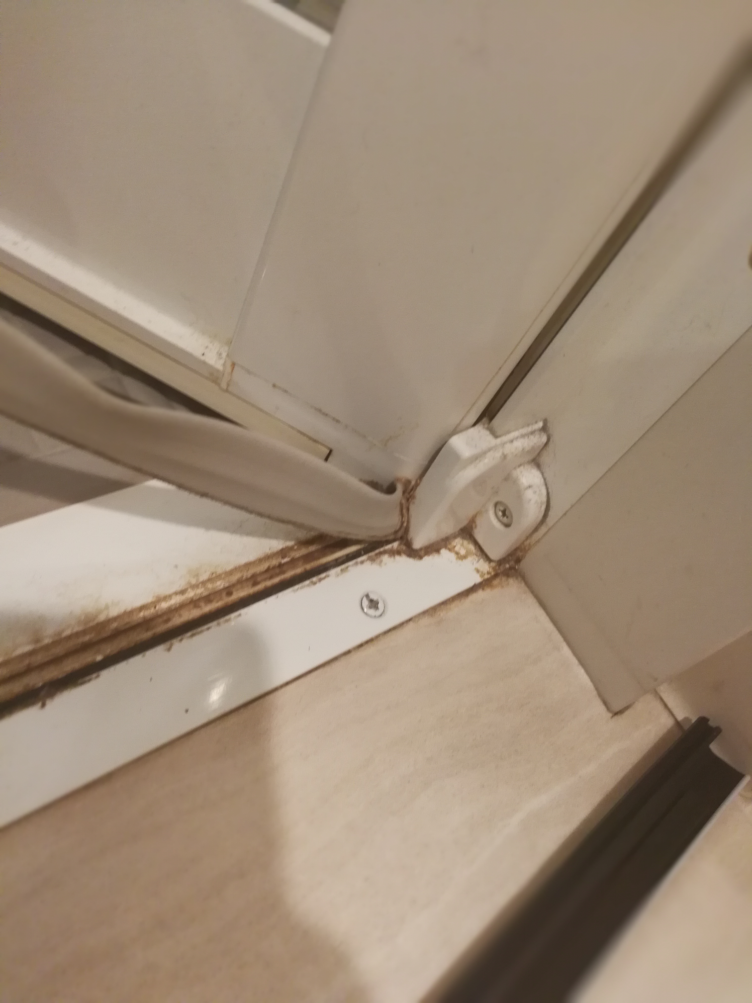 浴室ドアのパッキン(タイト材)を自分で交換すると実は結構簡単な上¥10,000くらい節約できた biborog